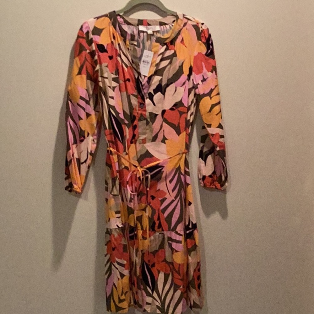 NWT Loft Floral Multicolor Dress